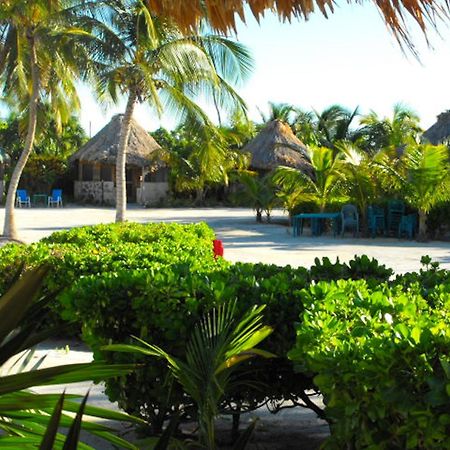Costa De Cocos Hotel Xcalak Ngoại thất bức ảnh