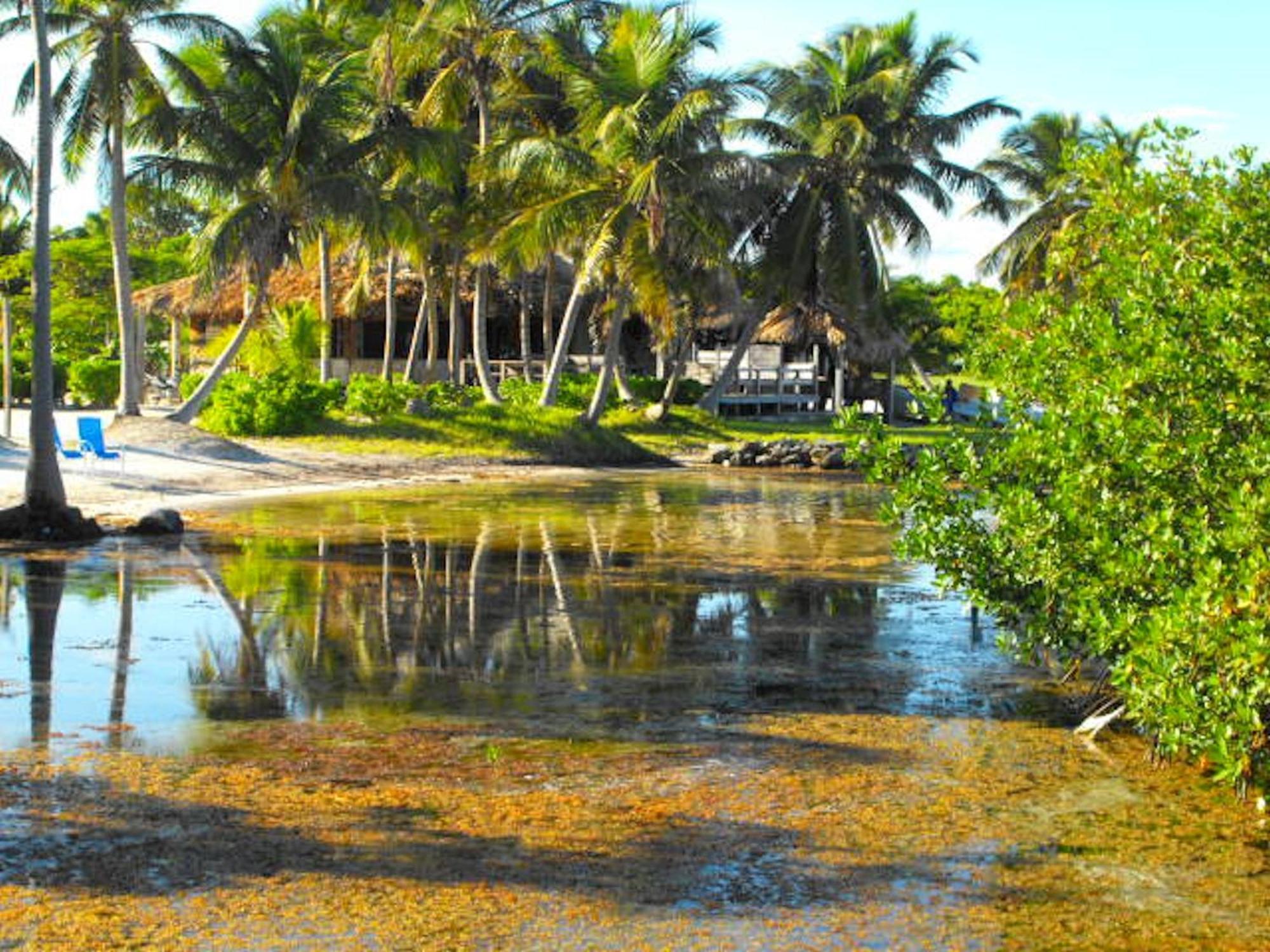 Costa De Cocos Hotel Xcalak Ngoại thất bức ảnh